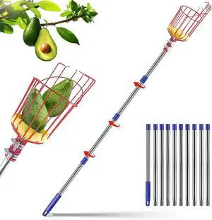 Qiullen 13 FT Extendable Fruit Picker Pole Tool Adjustable Long Handle Fruit Picker Metal Basket Fruit Grabber Tool with Protective Foam Pad Stainless Steel Garden Picker Tool for Apple Mango Lemon Qiullen 13 FT Extendable Fruit Picker Pole Tool Adjustable Long Handle Fruit Picker Metal Basket Fruit Grabber Tool with Protective Foam Pad Stainless Steel Garden Picker Tool for Apple Mango Lemon