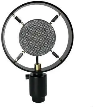 Professional Condenser Vintage Recording Studio Microphone For Live Broadcast Condenser Microphone Table Mircophone