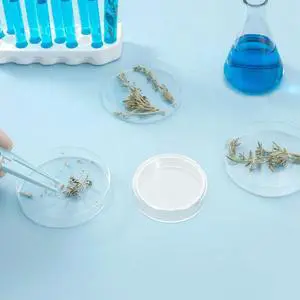 2Pcs Extendable Stainless Steel Telescopic Pointer Retractable Handheld Teacher Pointer for Classroom Presentations Outdoor