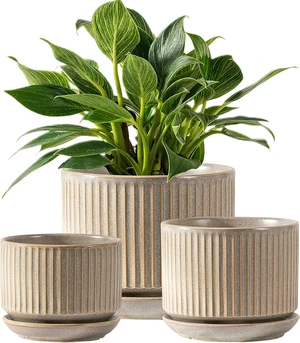 Ceramic Plant Pots Set of 3, 4.3+5.5+6.8 Inch Indoor Outdoor Planters with Drainage Hole and Saucer, Ceramic Flower Pots for Indoor Plants, Home, Garden, Patio and Office, Matte Grey Ceramic Plant Pots Set of 3, 4.3+5.5+6.8 Inch Indoor Outdoor Planters with Drainage Hole and Saucer, Ceramic Flower Pots for Indoor Plants, Home, Garden, Patio and Office, Matte Grey