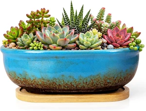 ARTKETTY Succulent Pots, 7.9'' Large Ceramic Pots for Indoor Cactus Plants ARTKETTY Succulent Pots, 7.9'' Large Ceramic Pots for Indoor Cactus Plants