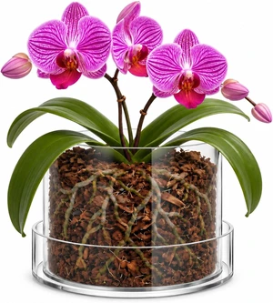 8 Inches Circle Acrylic Orchid Pot Clear Nursery Plant Pot 8 Inches Circle Acrylic Orchid Pot Clear Nursery Plant Pot