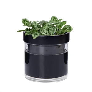 Phoenix Vine 4 Inch Self Watering Terracotta Planter, Black Terracotta Clay Pot with Glass Reservoir for Indoor Plants, Herbs, Flowers, Set of 1, 52-C-E-1 Phoenix Vine 4 Inch Self Watering Terracotta Planter, Black Terracotta Clay Pot with Glass Reservoir for Indoor Plants, Herbs, Flowers, Set of 1, 52-C-E-1