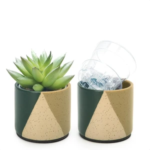 D'vine Dev 2-Pack Cachepot with Clear Pot, 3.5 in, Desert Forest, 93-V-A-1 D'vine Dev 2-Pack Cachepot with Clear Pot, 3.5 in, Desert Forest, 93-V-A-1