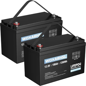 12V 100Ah LiFePO4 Deep Cycle Battery, 4000 Cycles Iron Phosphate Rechargeable Battery for Solar, RV, Home Energy Storage, Off-Grid Applications, Built-in 100A BMS2 Pack 12V 100Ah LiFePO4 Deep Cycle Battery, 4000 Cycles Iron Phosphate Rechargeable Battery for Solar, RV, Home Energy Storage, Off-Grid Applications, Built-in 100A BMS2 Pack