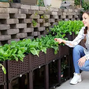 Plastic Planting Container with Drainage Holes Raised Bed Elevated Propagation Box for Patio Flower Fruit Vegetable Growing