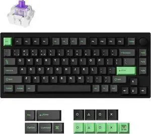 P1 HE 75% Wireless Custom Mechanical Gaming Keyboard with Gateron Double-Rail Magnetic Switches Full Assembled Knob Version - Black P1 HE 75% Wireless Custom Mechanical Gaming Keyboard with Gateron Double-Rail Magnetic Switches Full Assembled Knob Version - Black