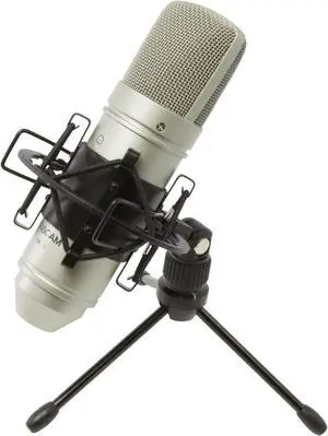 Tascam TM-80 Large Diaphagm Condenser Microphone,Silver Tascam TM-80 Large Diaphagm Condenser Microphone,Silver