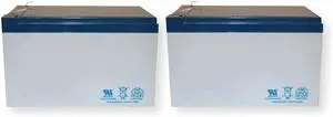 BAT-1224 Pack of 2 Uninterruptible Power Supply Battery Backups, Smart Heat Management, 12V, 24A, Compatible with Eaton SAFEPATH Series BAT-1224 Pack of 2 Uninterruptible Power Supply Battery Backups, Smart Heat Management, 12V, 24A, Compatible with Eaton SAFEPATH Series