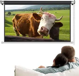 30 40 50 60 Inch Manual Pull Down Projector Screen, Portable Projection Screen 4:3 16:9 Movie Screen Wall/Ceiling Mount for Game Home Office Theater(40inch (4:3)) 30 40 50 60 Inch Manual Pull Down Projector Screen, Portable Projection Screen 4:3 16:9 Movie Screen Wall/Ceiling Mount for Game Home Office Theater(40inch (4:3))