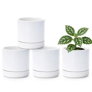 D'vine Dev 4-Pack Ceramic Pots with Saucers, White, 4.7 in, 94-X-B-1 D'vine Dev 4-Pack Ceramic Pots with Saucers, White, 4.7 in, 94-X-B-1