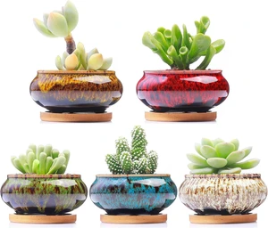 Cute Ceramic Succulent Garden Pots, Planter with Drainage and Attached Saucer, Set of 5 -Plants Not Included (Burner) Cute Ceramic Succulent Garden Pots, Planter with Drainage and Attached Saucer, Set of 5 -Plants Not Included (Burner)