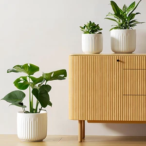 LE TAUCI Ceramic Planters, 8.3/7/6 Inch Indoor Pots for Plants with Drainage Holes & Mesh, Modern Matte Glaze Cylinder Fluted Plant Pot for Snake Plant, Set of 3, White LE TAUCI Ceramic Planters, 8.3/7/6 Inch Indoor Pots for Plants with Drainage Holes & Mesh, Modern Matte Glaze Cylinder Fluted Plant Pot for Snake Plant, Set of 3, White