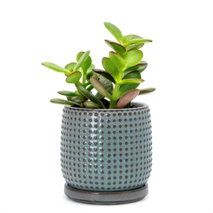 D'vine Dev Beaded Ceramic Pot with Saucer, 4 in, Graphite Blue, 27-C-Z-9