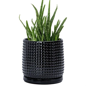 D'vine Dev Beaded Ceramic Pot with Saucer, 6 in, Glossy Black, 27-C-X-2