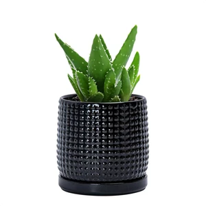 D'vine Dev Beaded Ceramic Pot with Saucer, 4 in, Glossy Black, 27-C-Z-2 D'vine Dev Beaded Ceramic Pot with Saucer, 4 in, Glossy Black, 27-C-Z-2
