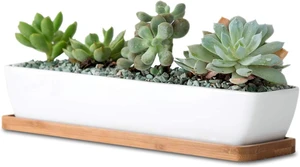 11inch Long Rectangle White Ceramic Succulent Planter Pots,with Bamboo Saucers. Product Size:11x2.23x1.69inch. 11inch Long Rectangle White Ceramic Succulent Planter Pots,with Bamboo Saucers. Product Size:11x2.23x1.69inch.