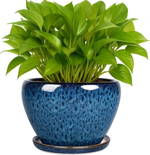 Deep Dream 6 Inch Plant Pots- Ceramic Planter Pot with Drainage Hole and Saucer, Round Flower Pot for Indoor Outdoor Succulent, Snake Plants and Cactus, Blue Deep Dream 6 Inch Plant Pots- Ceramic Planter Pot with Drainage Hole and Saucer, Round Flower Pot for Indoor Outdoor Succulent, Snake Plants and Cactus, Blue