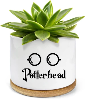Funny Ceramic Succulent Planter Pots with Drainage Bamboo Tray, Office Windowsill Decor Indoor, Funny Plants Pots Desk Accessories for Plant Lovers Mom Friends Teacher (Not Plants) Funny Ceramic Succulent Planter Pots with Drainage Bamboo Tray, Office Windowsill Decor Indoor, Funny Plants Pots Desk Accessories for Plant Lovers Mom Friends Teacher (Not Plants)