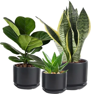 Ceramic Plant Pots with Drainage Hole and Saucer,Modern Indoor Pots for Plants,Ceramic Planter 6.7/5.3/4.3 inchs Set of 3,Indoor Flower Pot with Hole Mesh Pad, for Mom,Black Ceramic Plant Pots with Drainage Hole and Saucer,Modern Indoor Pots for Plants,Ceramic Planter 6.7/5.3/4.3 inchs Set of 3,Indoor Flower Pot with Hole Mesh Pad, for Mom,Black
