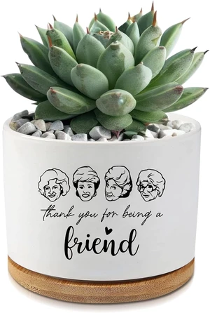 Golden Girls Merchandise,Thank You for Being A Friend,Succulent Flower Cactus Plant Pot with Drainage,Friendship Gifts for Friends Bestie Sister,Friend Gifts for Women(Plant Not Included)