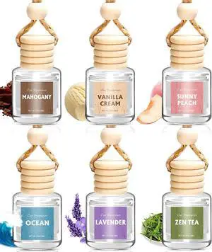 AROIC Car Air Freshener for Women, 6 Pack Air Freshener Diffuser, Mothers Day Gift for Mom, Hanging Essential Oil Air Freshener Diffuser Odor Eliminator, Cute Car Interior Decor Car Scents Accessories AROIC Car Air Freshener for Women, 6 Pack Air Freshener Diffuser, Mothers Day Gift for Mom, Hanging Essential Oil Air Freshener Diffuser Odor Eliminator, Cute Car Interior Decor Car Scents Accessories