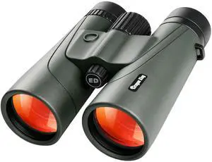 12x50 Binoculars for Adults, HD Roof Prism Compact Binoculars Large Eyepiece Waterproof Binocular for Cruise Bird Watching Hunting 12x50 Binoculars for Adults, HD Roof Prism Compact Binoculars Large Eyepiece Waterproof Binocular for Cruise Bird Watching Hunting