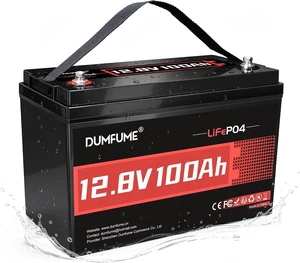 12.8V 100Ah LiFePO4 Battery Group 31 Lithium Battery 100A BMS 12.8V 100Ah LiFePO4 Battery Group 31 Lithium Battery 100A BMS