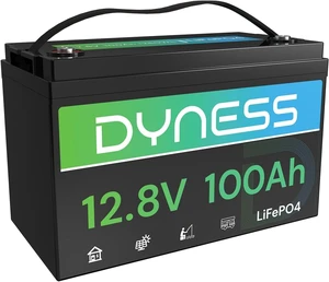 Dyness 12V 100Ah LiFePO4 Lithium Battery for RV, Solar System and Off-Grid Dyness 12V 100Ah LiFePO4 Lithium Battery for RV, Solar System and Off-Grid