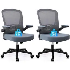 Desk Chairs with Wheels, Flip Up Arms Ergonomic Mesh Back Office Chair with Lumbar Support, Adjustable Height Swivel Rolling Computer Task Chairs for School Conference Meeting, Grey, 2 Pack Desk Chairs with Wheels, Flip Up Arms Ergonomic Mesh Back Office Chair with Lumbar Support, Adjustable Height Swivel Rolling Computer Task Chairs for School Conference Meeting, Grey, 2 Pack