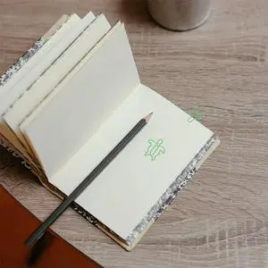 120Pcs Sea Turtle Paper Clips Nonslip l Animal Shaped Clips Decorative Office School Document File Organizers Novelty 120Pcs Sea Turtle Paper Clips Nonslip l Animal Shaped Clips Decorative Office School Document File Organizers Novelty