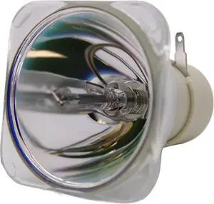 Advanced Lamps 210-170W 0.9 E20.9 Bulb (Lamp Only) for Various Projectors Advanced Lamps 210-170W 0.9 E20.9 Bulb (Lamp Only) for Various Projectors