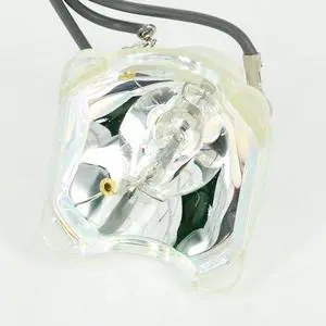AWO 610-333-9740 / POA-LMP111 Compatible Replacement Bare Lamp Bulb for Eiki LC-WB40 LC-WB40N LC-WB42 LC-WB42N LC-XB41 LC-XB41N LC-XB42 LC-XB42N LC-XB43 Projectors AWO 610-333-9740 / POA-LMP111 Compatible Replacement Bare Lamp Bulb for Eiki LC-WB40 LC-WB40N LC-WB42 LC-WB42N LC-XB41 LC-XB41N LC-XB42 LC-XB42N LC-XB43 Projectors