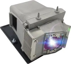 A+ Quality BL-FP230I / SP.8KZ01GC01 Replacement Projector Lamp Bulb with Housing Compatible with Optoma HD33 HD3300 HD300X A+ Quality BL-FP230I / SP.8KZ01GC01 Replacement Projector Lamp Bulb with Housing Compatible with Optoma HD33 HD3300 HD300X