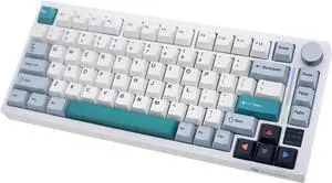 GK GAMAKAY TK75 V2 75% Silent Mechanical Keyboard with TFT Screen | Hot Swap RGB Bluetooth 5.0/2.4GHz Wireless/USB-C Wired PBT Cherry Profile Keycaps Gaming Keyboard (GamaKay Pegasus Switch) GK GAMAKAY TK75 V2 75% Silent Mechanical Keyboard with TFT Screen | Hot Swap RGB Bluetooth 5.0/2.4GHz Wireless/USB-C Wired PBT Cherry Profile Keycaps Gaming Keyboard (GamaKay Pegasus Switch)