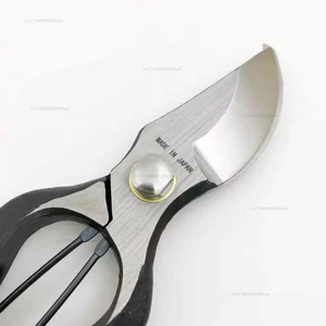 Professional 8-Inch Bypass Pruners | Hand-Made in Japan from Forged High-Carbon Steel | Effortless Branch Cutting Professional 8-Inch Bypass Pruners | Hand-Made in Japan from Forged High-Carbon Steel | Effortless Branch Cutting