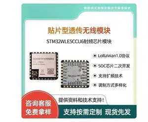 LoRaWAN node module STM32WLE5CCU6, low-power long-range SX1262 RF module, meter, supply chain and logistics, building auto LoRaWAN node module STM32WLE5CCU6, low-power long-range SX1262 RF module, meter, supply chain and logistics, building auto