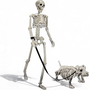 Human & Dog Skeleton Halloween Decorations for Indoor/Outdoor Human & Dog Skeleton Halloween Decorations for Indoor/Outdoor