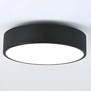 2-Light Modern Black Flush Mount Ceiling Light 11.8 Inch 2-Light Modern Black Flush Mount Ceiling Light 11.8 Inch