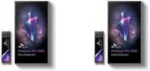2 x SSD Combo -  SK hynix HFS2T0GEJ9X Bundle with  SK hynix HFS2T0GEJ9X
