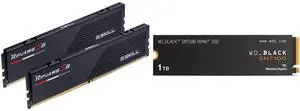Memory SSD Combo -  G.SKILL F5-6000J3636F32GX2-RS5K Bundle with  SanDisk WDS100T4X0E