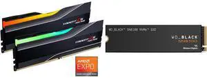 Memory SSD Combo -  G.SKILL F5-6000J3040G32GX2-TZ5NR Bundle with  SanDisk WDS400T1X0M