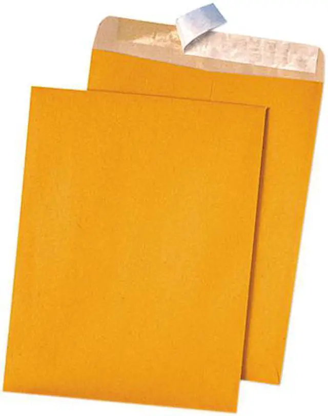 Main image of Quality Park™ Envelope,9x12rcy,Cat,Brkr 44511
