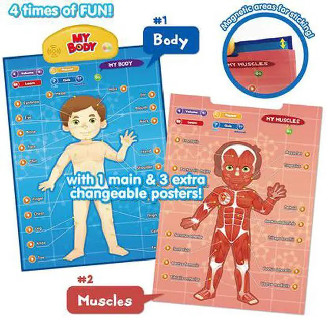 Alt view image 2 of 4 - BEST LEARNING i-Poster My Body - Interactive Educational Human Anatomy Talking Game Toy System to Learn Body Parts, Organs, Muscles and Bones for Kids Aged 5 to 12 Years Old