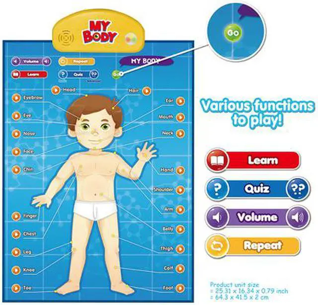 Alt view image 4 of 4 - BEST LEARNING i-Poster My Body - Interactive Educational Human Anatomy Talking Game Toy System to Learn Body Parts, Organs, Muscles and Bones for Kids Aged 5 to 12 Years Old