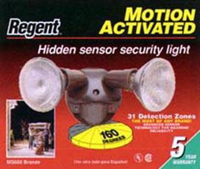 Regent halogen deals flood light