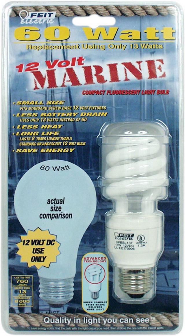 13 watt fluorescent on sale bulb equivalent