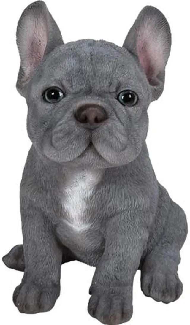 Main image of Hi-Line Gift Blue French Bulldog Puppy Sitting Garden Statue