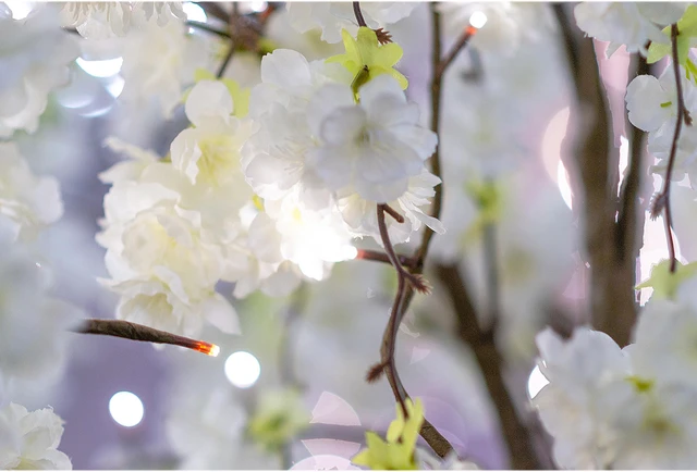 Alt view image 4 of 5 - Small Cherry Blossom Tree with 66 Warm White LED