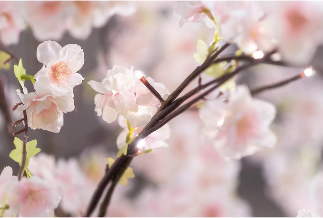 Alt view image 3 of 5 - Small Pink Cherry Blossom Tree with 66 Warm White LED